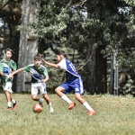 Pedro B