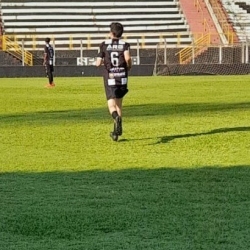 Vena
