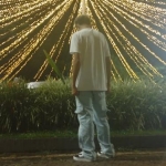 Rodrigues