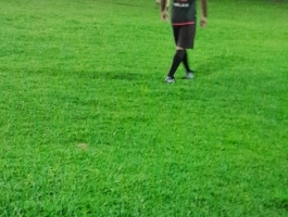 Foto do jogador