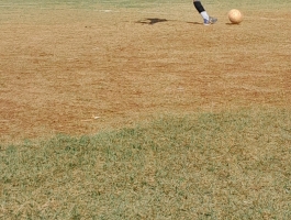 Foto do jogador