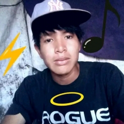 Felixnoa